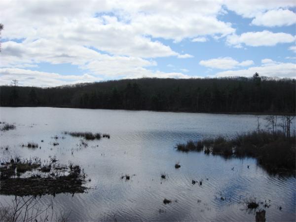 Land for Sale, ListingId:18657176, location: 0 south shore Thompson 06277