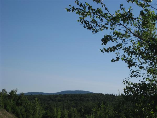 Land for Sale, ListingId:18690398, location: Lot 8 East County Road Rutland 01543