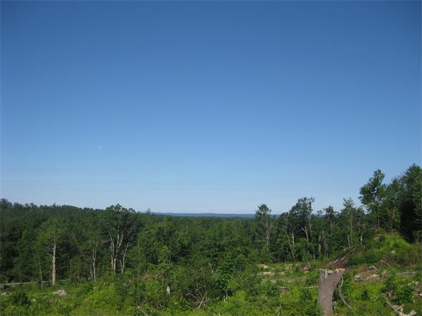 Land for Sale, ListingId:18690411, location: Lot 10 East County Road Rutland 01543