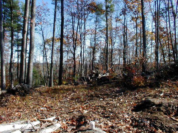 Real Estate for Sale, ListingId: 23361627, Fitzwilliam,&nbsp;NH&nbsp;&nbsp;03447