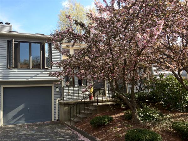 Single Family Home for Sale, ListingId:18964630, location: 6 Nottingham Rd Grafton 01519