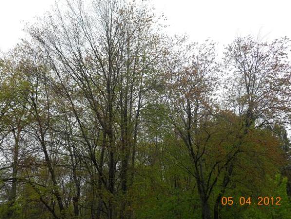 Investment for Sale, ListingId:19084142, location: 0 Confidential Way Lawrence 01840