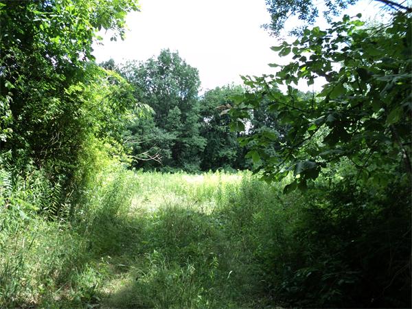Land for Sale, ListingId:19232344, location: lot 5 North Brookfield Road Brookfield 01506