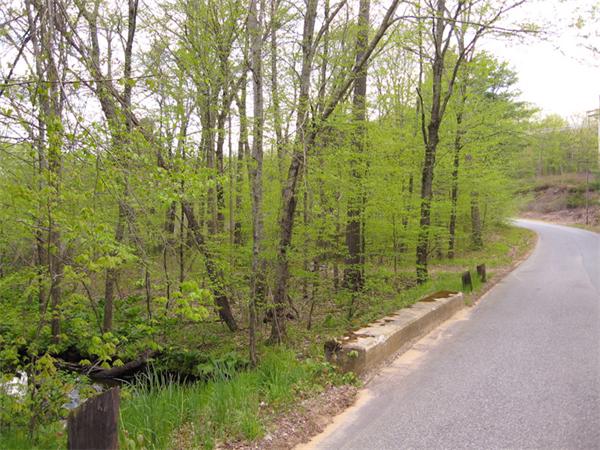 Land for Sale, ListingId:19232326, location: 139 Stafford Road Wales 01081
