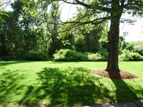 Single Family Home for Sale, ListingId:19319226, location: 10 Kingston St. North Andover 01845