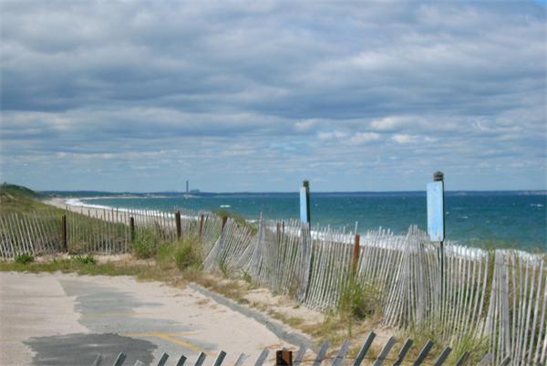 Viewing Image 8
