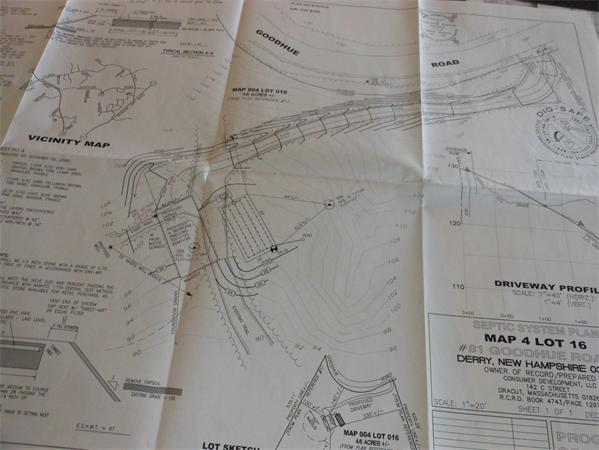 Viewing Image 4