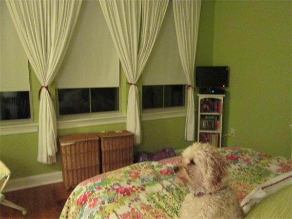 Viewing Image 12