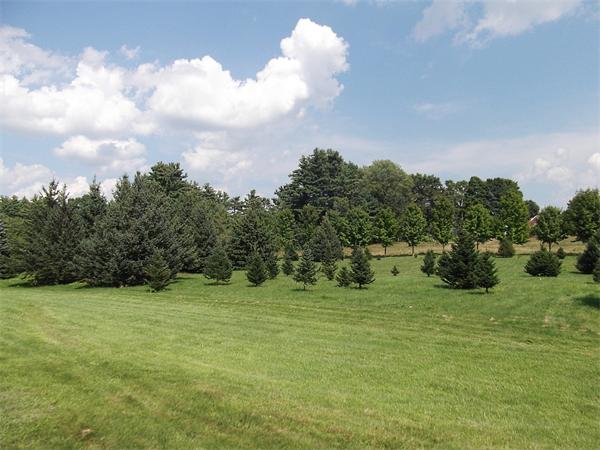 Real Estate for Sale, ListingId: 22069388, Groton,&nbsp;MA&nbsp;&nbsp;01450