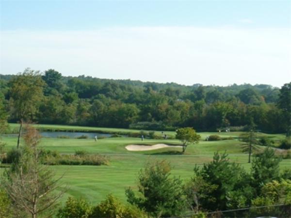 Viewing Image 18