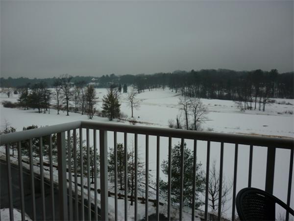 Viewing Image 21