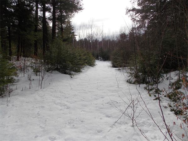 Real Estate for Sale, ListingId: 23361953, Hubbardston,&nbsp;MA&nbsp;&nbsp;01452