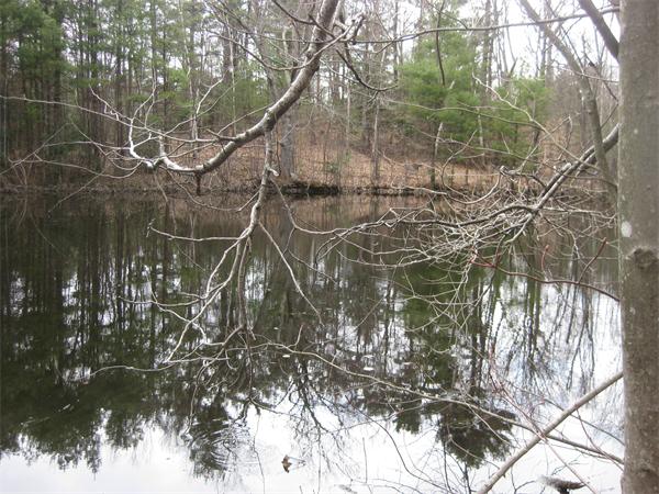Real Estate for Sale, ListingId: 23361379, Templeton,&nbsp;MA&nbsp;&nbsp;01468