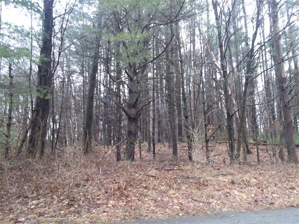 Real Estate for Sale, ListingId: 23244706, Merrimac,&nbsp;MA&nbsp;&nbsp;01860