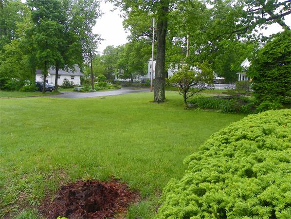 Rental Homes for Rent, ListingId:23787887, location: 260-262 Walton St Fitchburg 01420