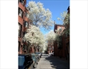[street number] Pinckney St., [town_name], [state_name]