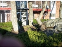 [street number] Grove St, [town_name], [state_name]