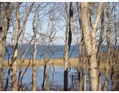 Falmouth Massachusetts real estate photo