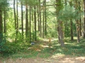 Southampton MA real estate photo