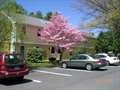 Boxborough MA Real Estate Photo