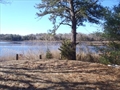 Wareham Massachusetts real estate photo