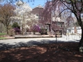 house for sale Sharon MA
