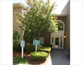 Norwood Massachusetts real estate