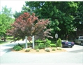 Natick Massachusetts real estate