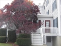Nahant Massachusetts real estate