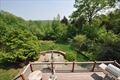 house for sale Harvard MA
