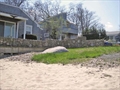 home for sale in Dartmouth MA photo