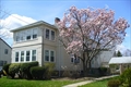 Newton Massachusetts townhouse photo