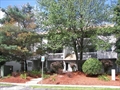 Franklin Mass condo for sale photo