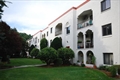 Stoneham MA real estate