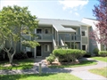 Brewster Massachusetts real estate