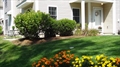 Reading Mass condo for sale photo