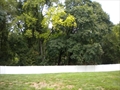 Holyoke MA real estate