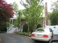 Malden Massachusetts real estate photo