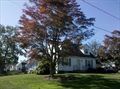 home for sale Somerset MA photo