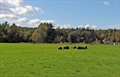 Townsend Massachusetts real estate photo