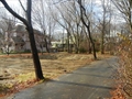 Newton MA real estate photo