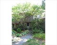  Massachusetts townhouse photo