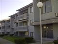 New Bedford Massachusetts real estate