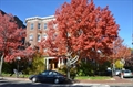 Cambridge MA real estate