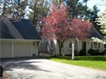 Duxbury MA real estate photo