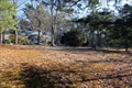 home for sale Sudbury MA photo