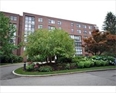 Newton MA condo for sale photo