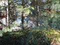 Ashland MA Real Estate Photo