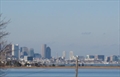 Quincy Massachusetts real estate