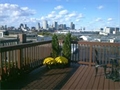 Boston MA real estate